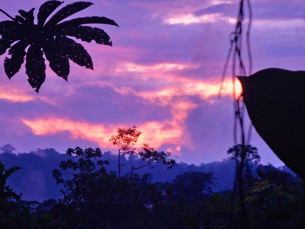 Tres tonadas de Chonta para conectar con el&nbsp;Ayer